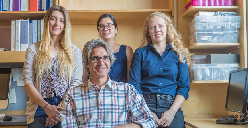 Professor Michael Dawson (seated) with graduate student Karly Higgins (left) and postdoctoral researchers Dannise Ruiz-Ramos (center) and Lauren Schiebelhut.