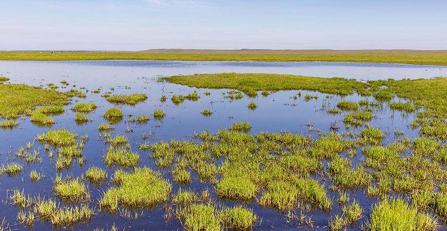 UC Merced's Vernal Pools and Grassland Reserve